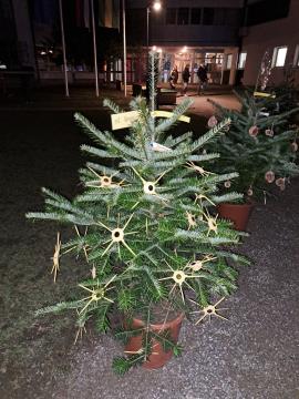 PRAZNIČNA OBČINA ŠKOFLJICA: lokalne skupnosti so okrasile smrečice v drevoredu pri zunanjem igrišču OŠ Škofljica